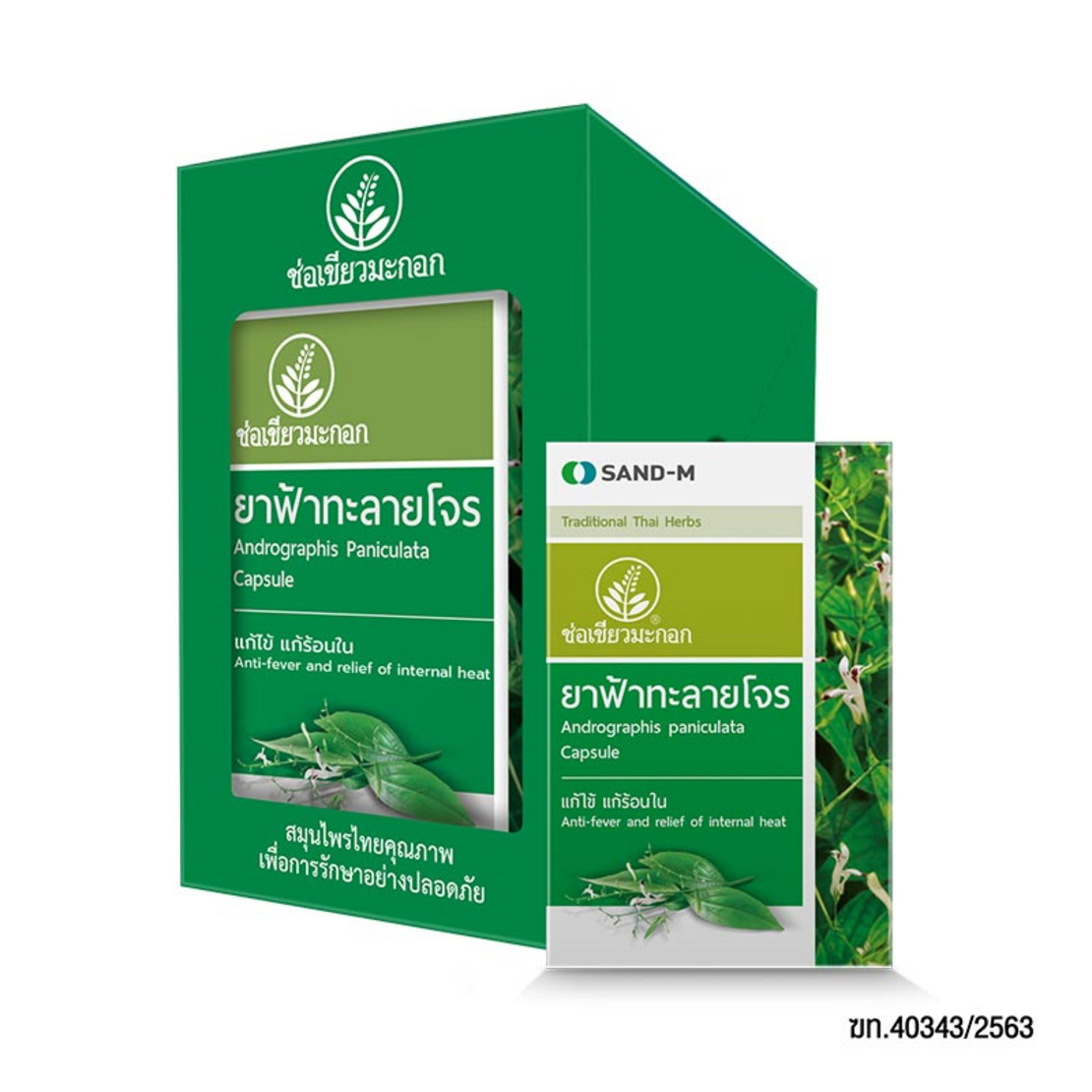 462758-00-medicine-nonprescription-drugs